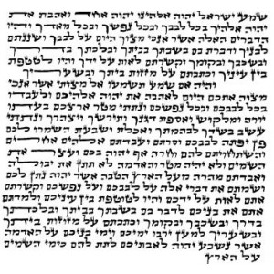 Pergamino de Mezuzá Básico con Texto de Shema en Hebreo Mediano (10cm) Mezuzot