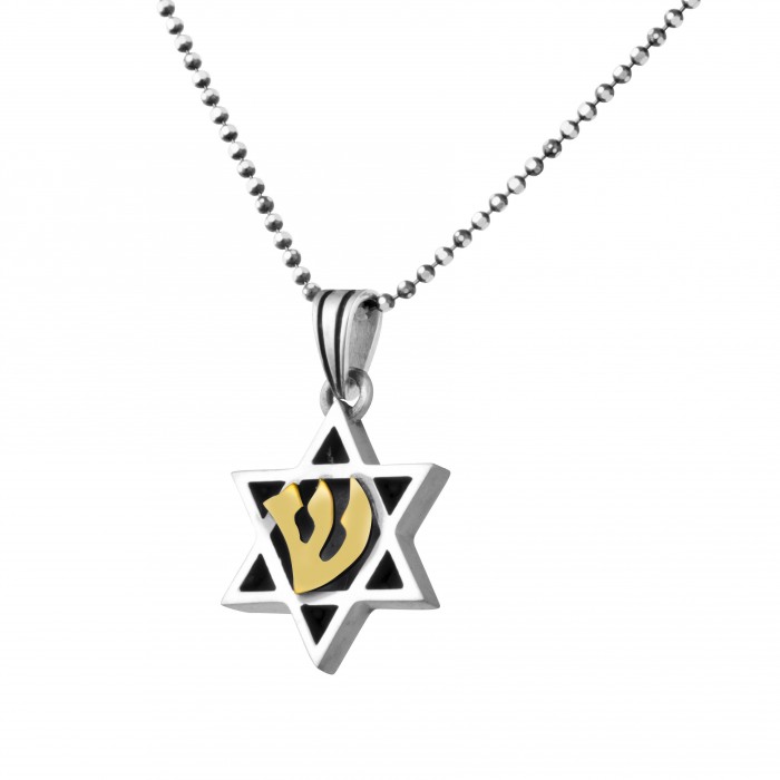 Star of David Pendant in Sterling Silver with Gold Shin by Rafael Jewelry