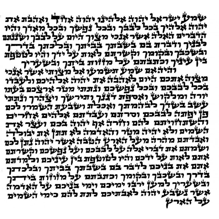 Ashkenaz Mehudar Plus Mezuzah with Bet Yosef Script (12cm)