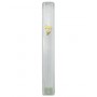Mezuzah in Clear Plastic with Gold-Coloured Shin